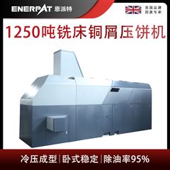 BM-12531恩派特1250噸銑床銅屑壓餅機