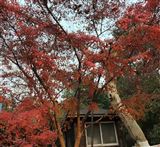 工業和信息化部安全生產委員會召開全體會議