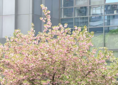 湖北省经信厅召开支持量子科技产业发展专题会议 湖北省经信厅召开支持量子科技产业发展专题会议